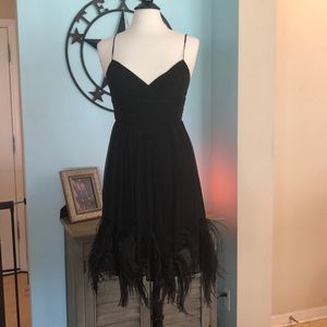 BCBGMAXAZRIA Silk feather dress - sz 6